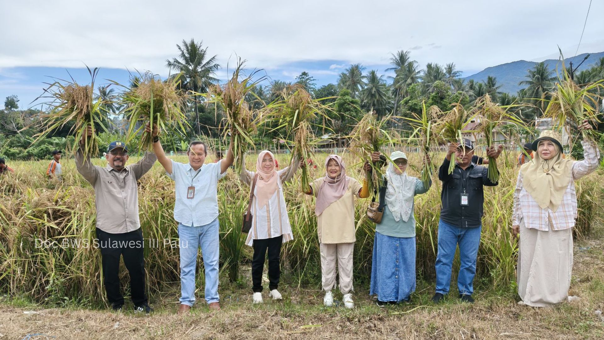 Sinergi KemenPU dan Kementan, BWS Sulawesi III Palu Dukung Gerakan Panen Padi di Sigi